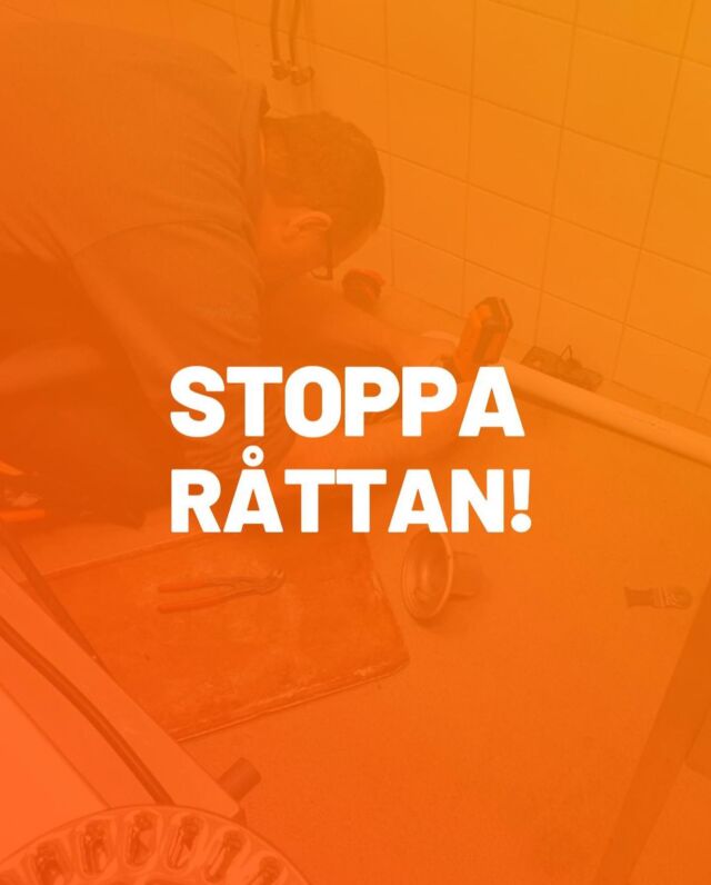 🐀✋🛑 Sätt STOPP för råttan i golvbrunnen precis som @tingstadror gjort! 
#faluplast #vvsprodukter  #vvsfirma #vvsmontör #VVS #hantverkare #röris #golvbrunn #rörmokare #råttstopp #råttor